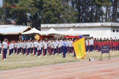JDS_4706
