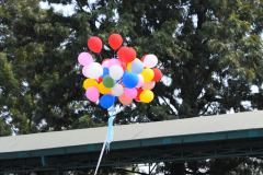 JDS_4762