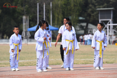 JDS_4800