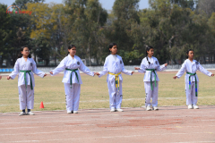 JDS_4801