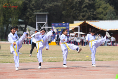 JDS_4806