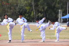 JDS_4807