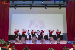 DSC08666